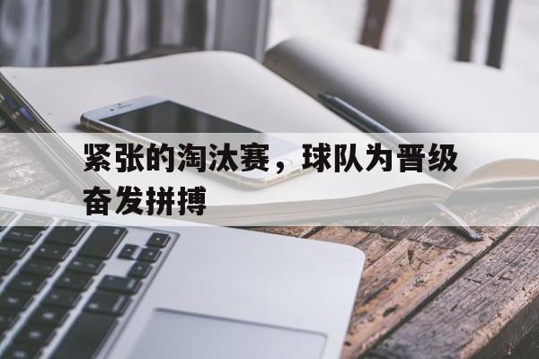 半岛体育APP-淘汰赛的意思是什么